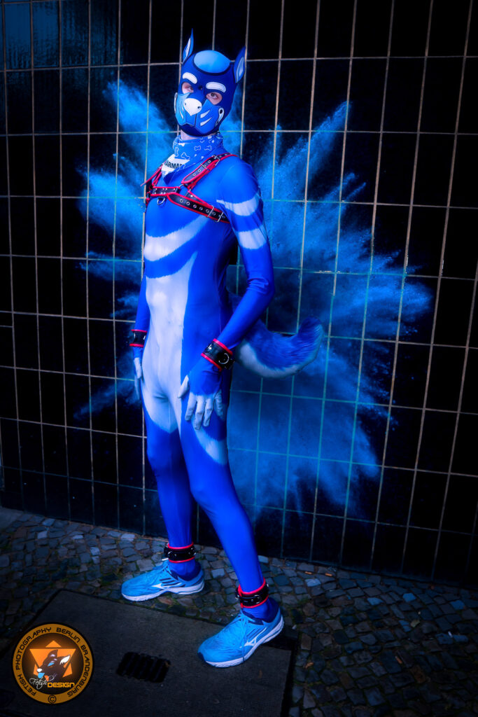 bluepup