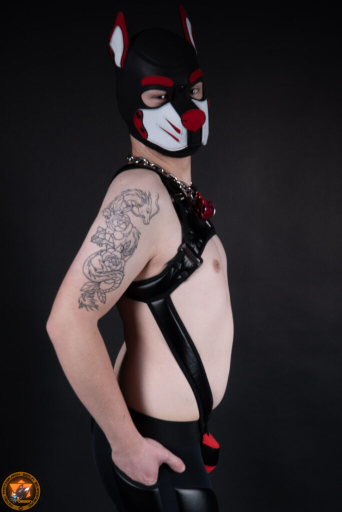 2022-12-14-Shooting (076 von 270)