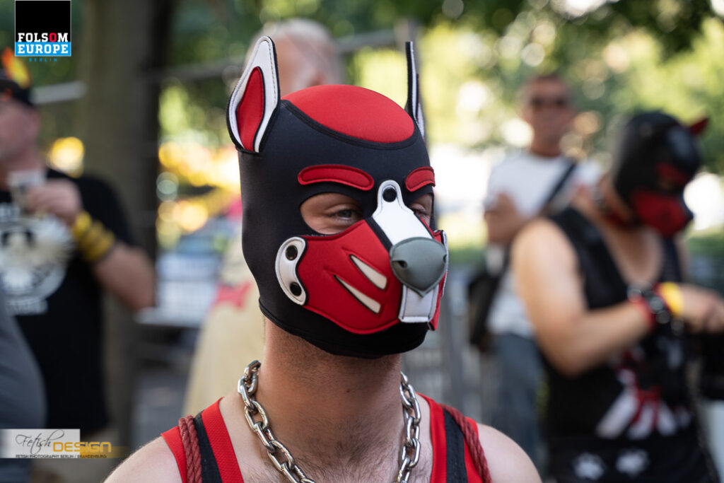 PuppyBusTour-2023-09-08 (11 von 78)