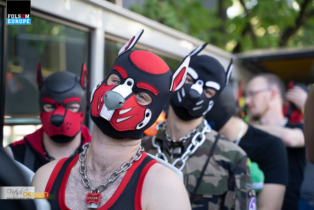 PuppyBusTour-2023-09-08 (24 von 78)