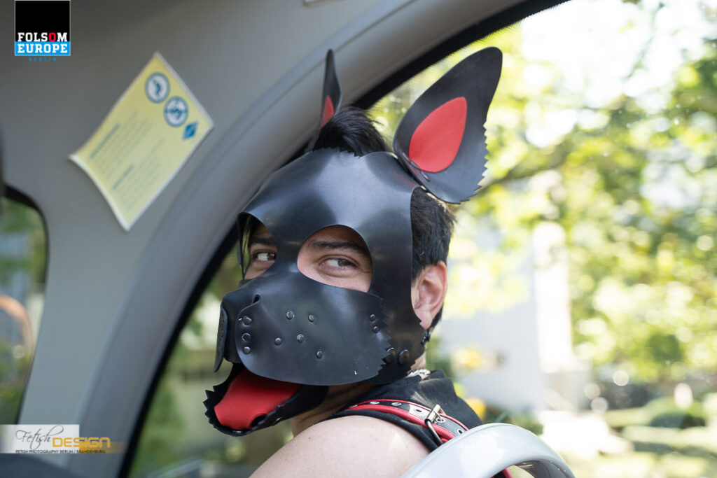 PuppyBusTour-2023-09-08 (35 von 78)
