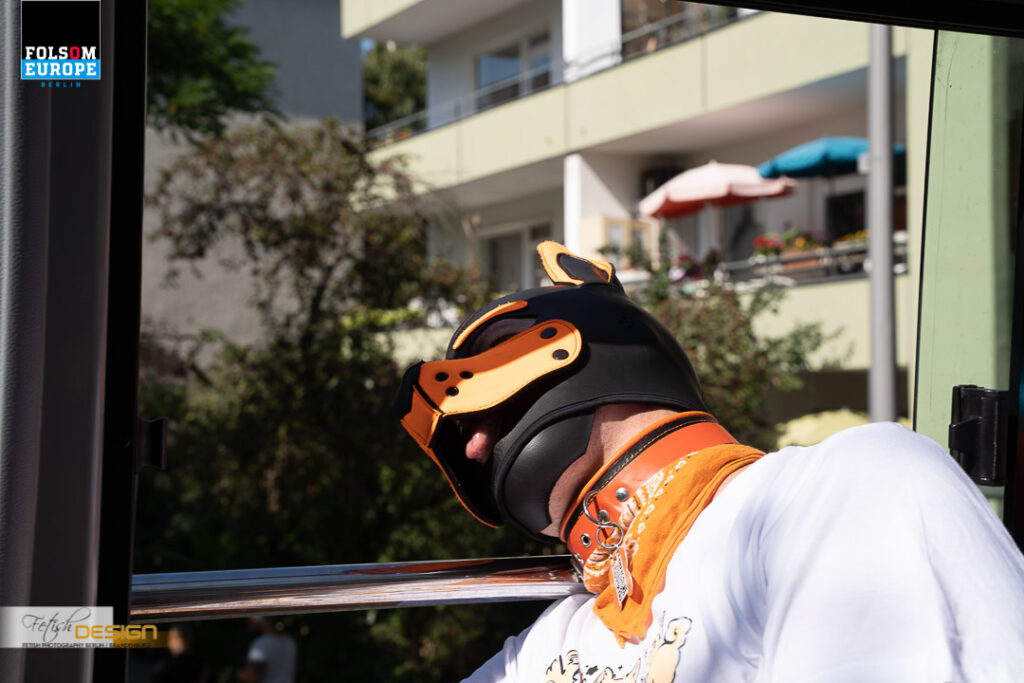 PuppyBusTour-2023-09-08 (36 von 78)