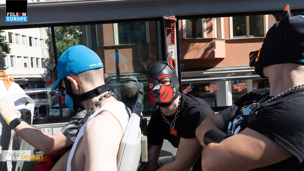 PuppyBusTour-2023-09-08 (76 von 78)