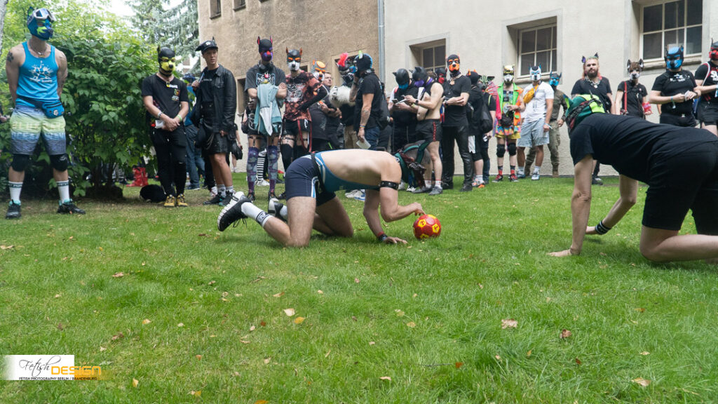 PuppyGames-2026-09-13 (189 von 286)