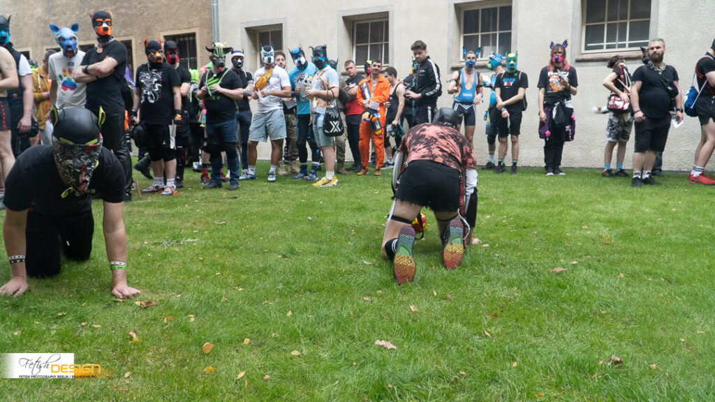 PuppyGames-2026-09-13 (191 von 286)