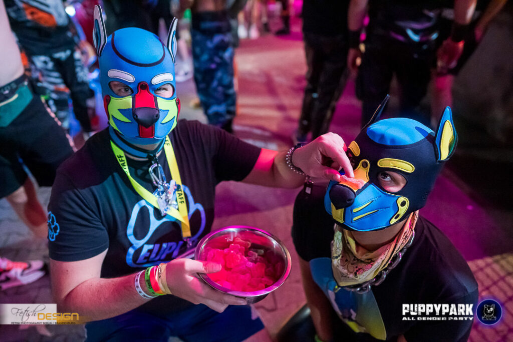 PuppyPark-2023-08-11 (172 von 189)