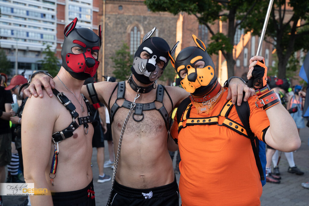PuppyWalk-2023-09-08 (053 von 183)