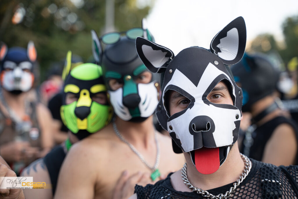 PuppyWalk-2023-09-08 (122 von 183)
