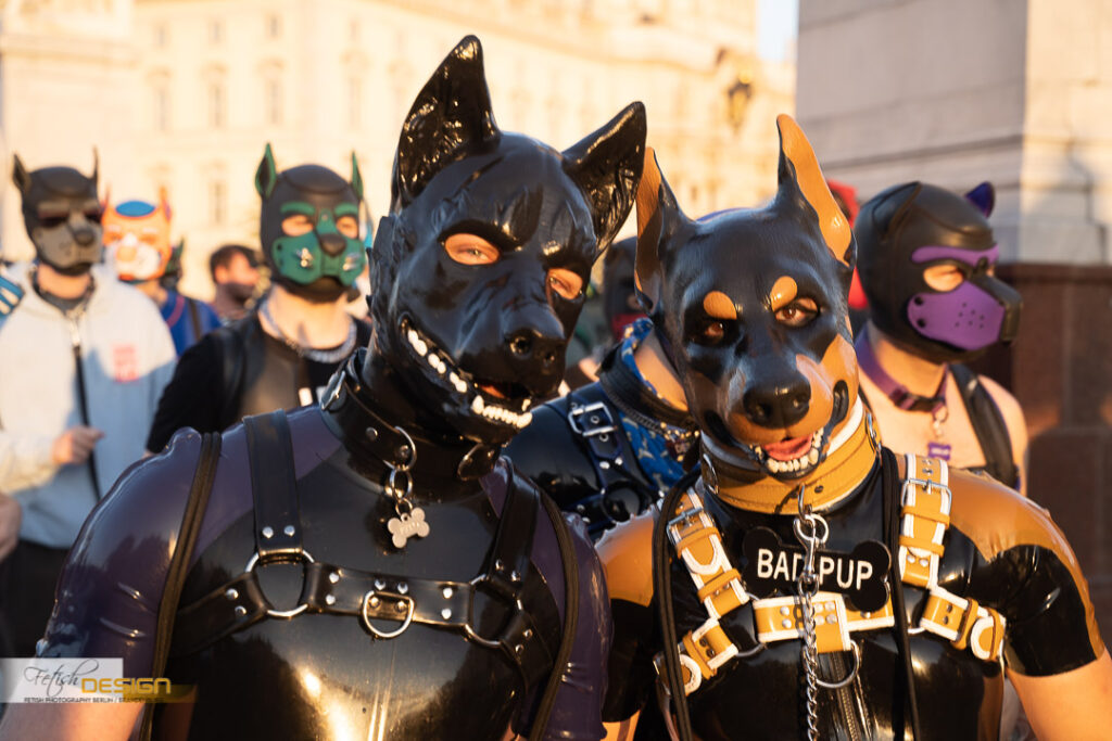PuppyWalk-2023-09-08 (136 von 183)