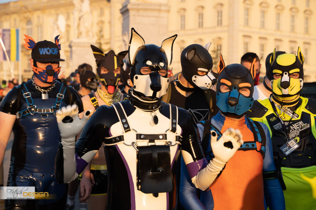 PuppyWalk-2023-09-08 (138 von 183)