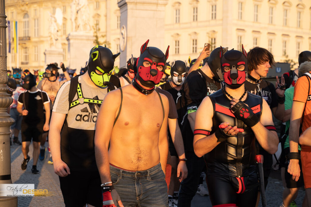 PuppyWalk-2023-09-08 (140 von 183)