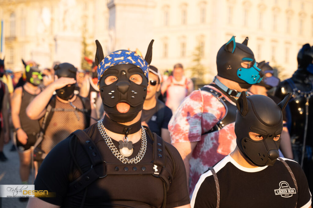 PuppyWalk-2023-09-08 (142 von 183)