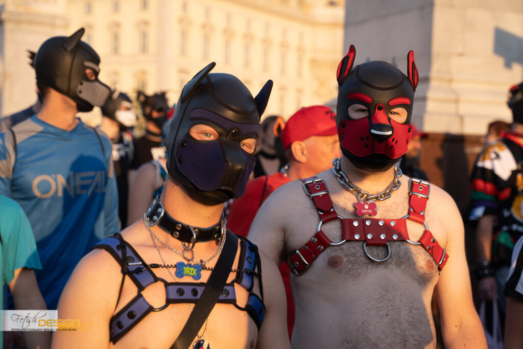 PuppyWalk-2023-09-08 (148 von 183)