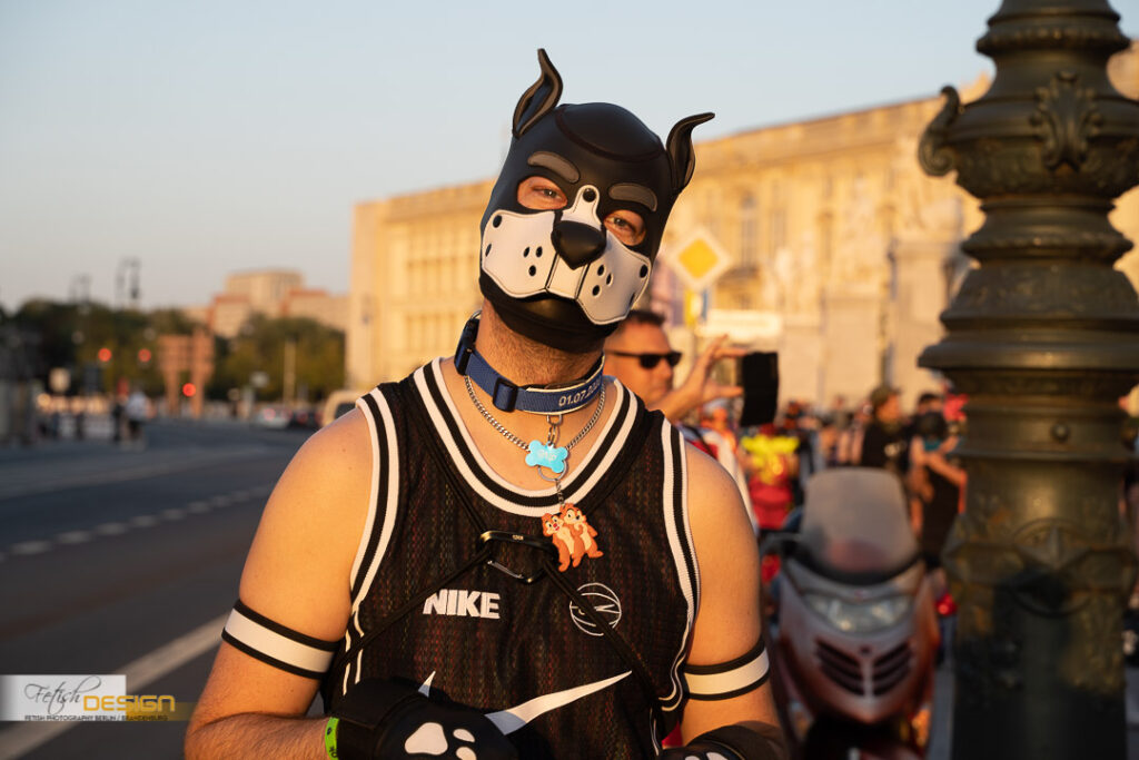 PuppyWalk-2023-09-08 (150 von 183)