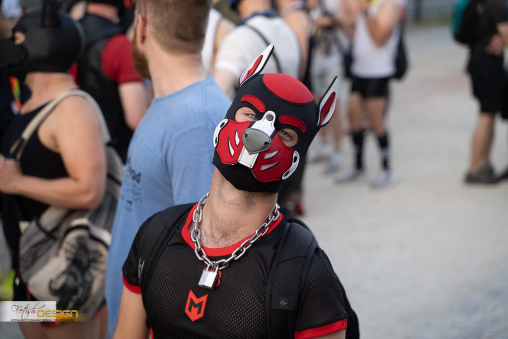 PuppyWalk-2023-09-08 (160 von 183)