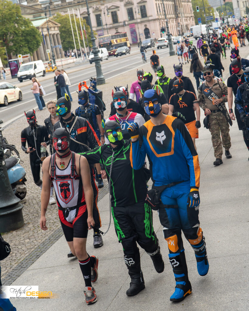 PuppyWalk-2026-09-12 (052 von 337)