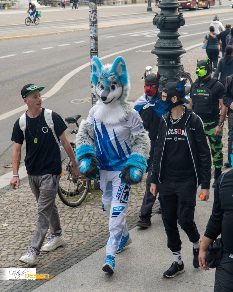 PuppyWalk-2026-09-12 (062 von 337)