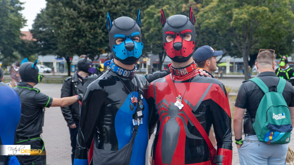 PuppyWalk-2026-09-12 (084 von 337)