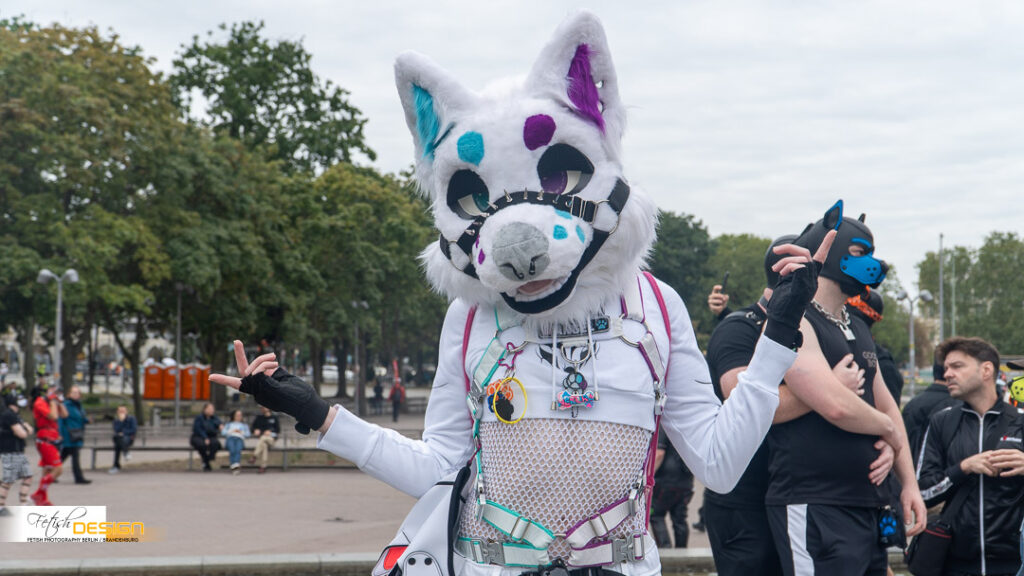 PuppyWalk-2026-09-12 (085 von 337)
