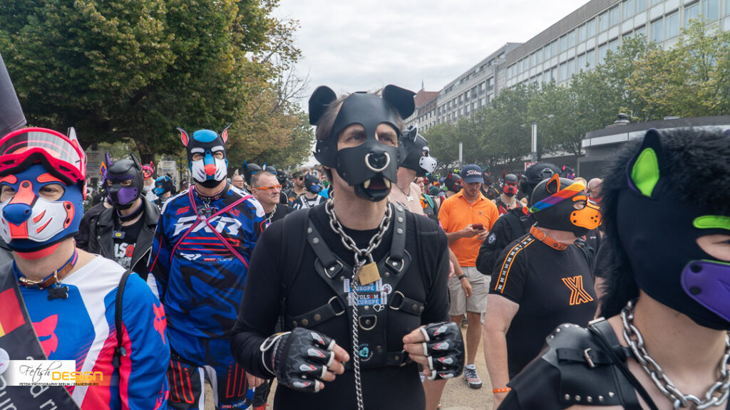 PuppyWalk-2026-09-12 (162 von 337)