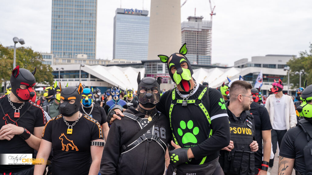 PuppyWalk-2026-09-12 (204 von 337)