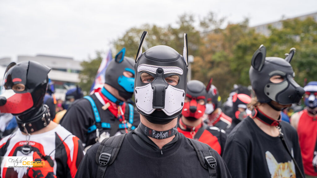 PuppyWalk-2026-09-12 (217 von 337)