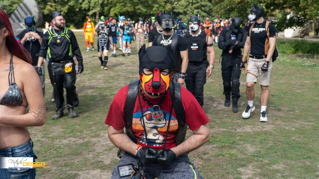 PuppyWalk-2026-09-12 (299 von 337)